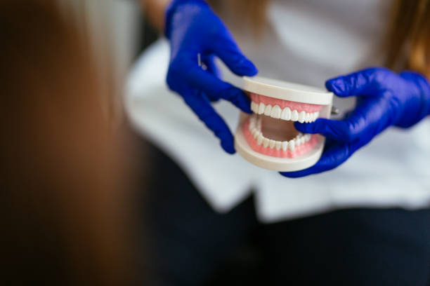 Professional Holistic Dental Care Services in Orient, NY